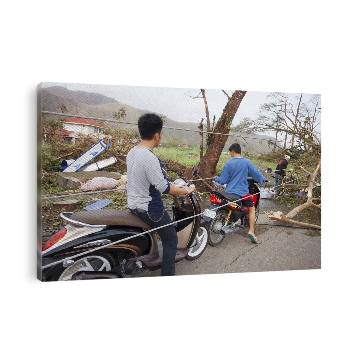 Destruction after super typhoon Haiyan. Downed power cables blocking a road. Haiyan was the strongest tropical cyclone ever recorded to have made landfall, with sustained winds of more than 300 kilometres per hour at its peak. The island of Leyte, and in particular its capital Tacloban, bore the brunt of Haiyan's force. More than 6200 people were confirmed killed, with nearly 2000 missing. Photographed in Tacloban, Leyte, in the Philippines, in November 2013.