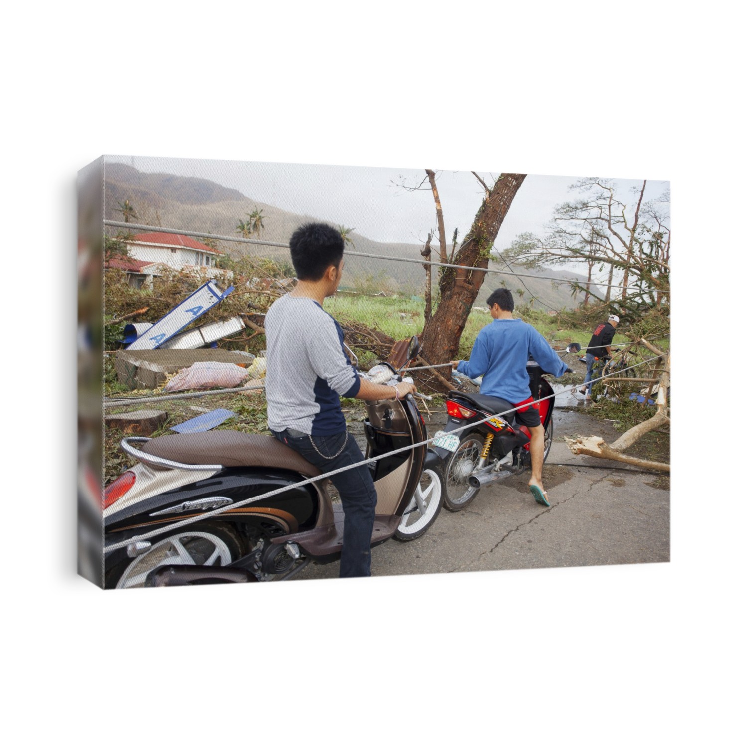 Destruction after super typhoon Haiyan. Downed power cables blocking a road. Haiyan was the strongest tropical cyclone ever recorded to have made landfall, with sustained winds of more than 300 kilometres per hour at its peak. The island of Leyte, and in particular its capital Tacloban, bore the brunt of Haiyan's force. More than 6200 people were confirmed killed, with nearly 2000 missing. Photographed in Tacloban, Leyte, in the Philippines, in November 2013.